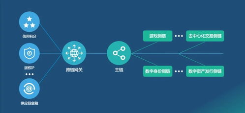 未來網絡的關鍵技術 網絡技術開發的星辰大海