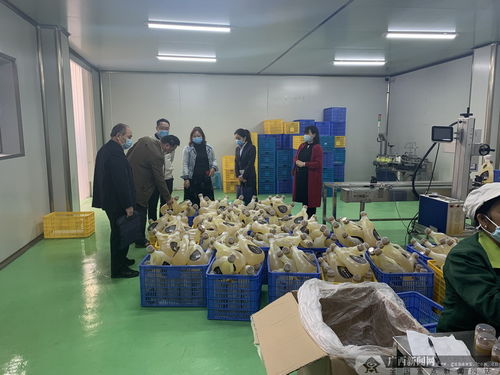 建行河池分行 精準施策支持抗擊疫情與復工復產(chǎn) 兩不誤——以服裝行業(yè)為例